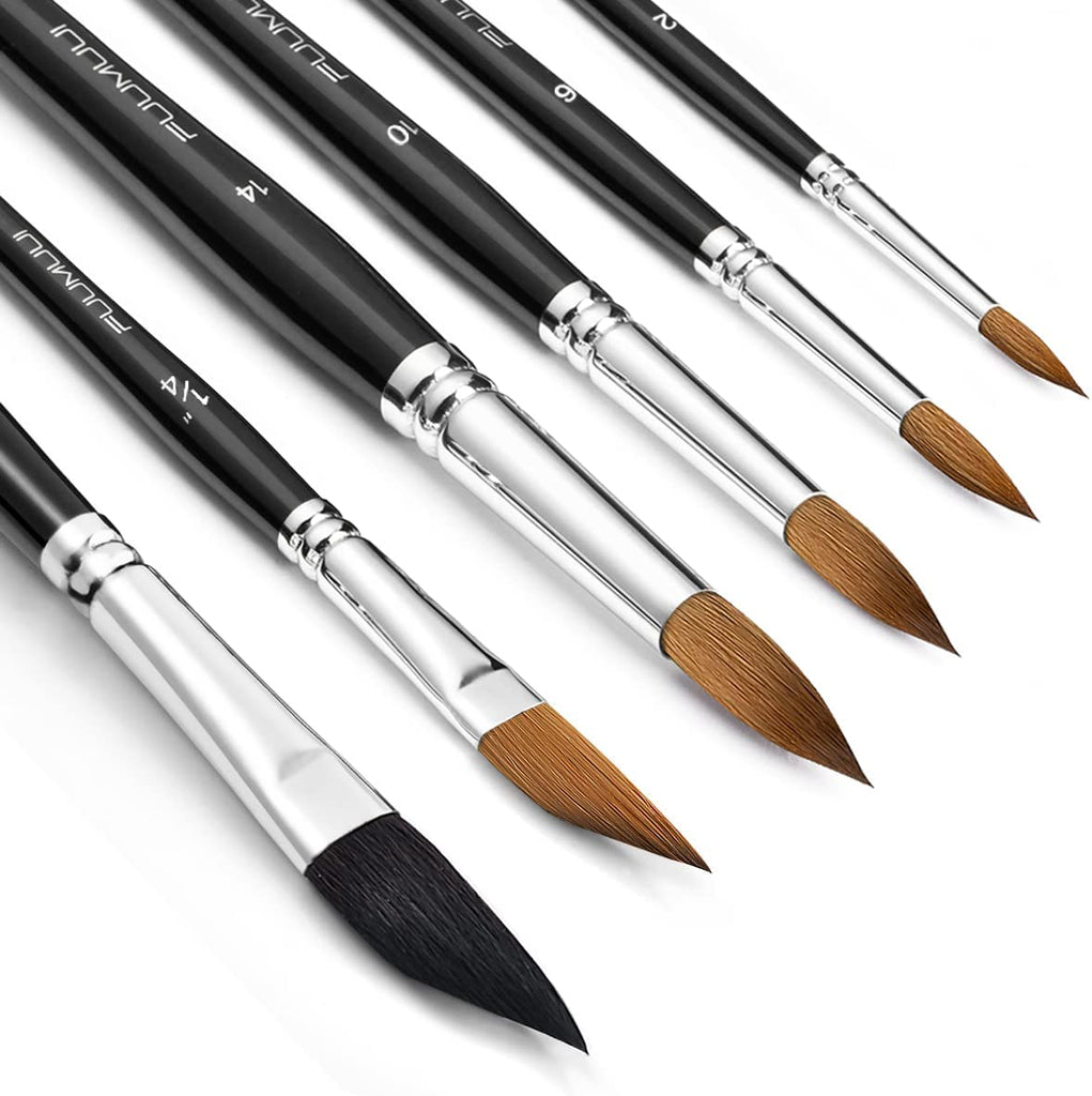 Fuumuui Sable Watercolor Brushes Professional, Fuumuui 6Pcs Kolinsky Sable  Brush with Round Pointed, 1/4 & 3/8 Dagger Striper from Detail to Wide