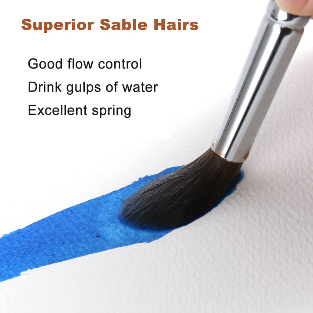 Sable Watercolor Brushes 9Pcs Professional Superior Kolinsky Watercolor  Paint Br